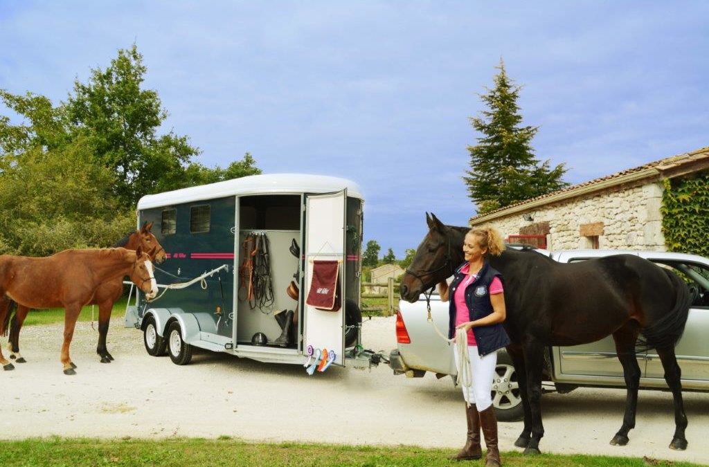 Louer un van pour cheval à Toulouse : nos conseils