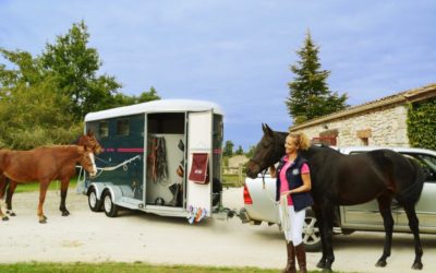 Louer un van pour cheval à Toulouse : nos conseils