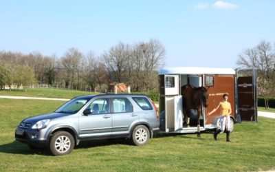 Que choisir entre un van droit ou oblique pour le transport de chevaux ?