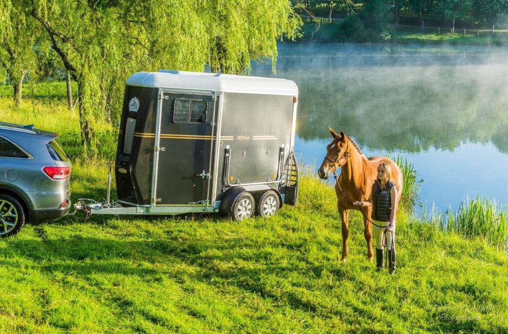 Quelle solution choisir pour le transport de chevaux ?