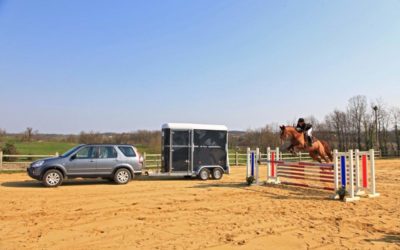 Les concours d’équitation dans la région toulousaine